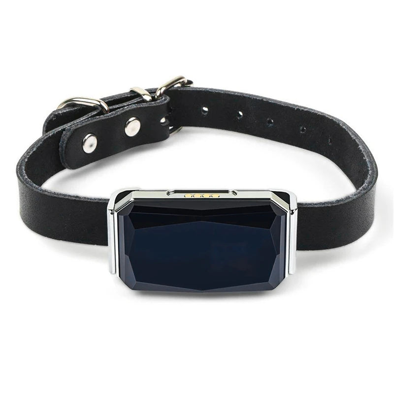 GPS Pet Tracker Collar