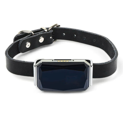 GPS Pet Tracker Collar