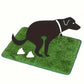 Artificial Grass Dog Potty Trainer Washable