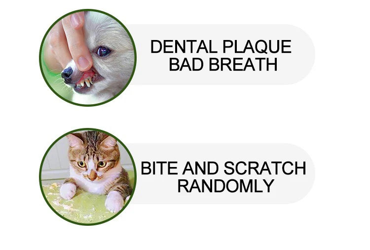 Pet Toy Ball - Sounding Tooth Cleaning Thorn Ball for Dogs & Cats - Deribla Store