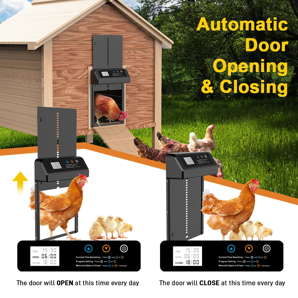 Chicken Coop Door Opener