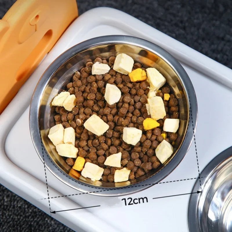 Elevated Tilted Pet Bowl