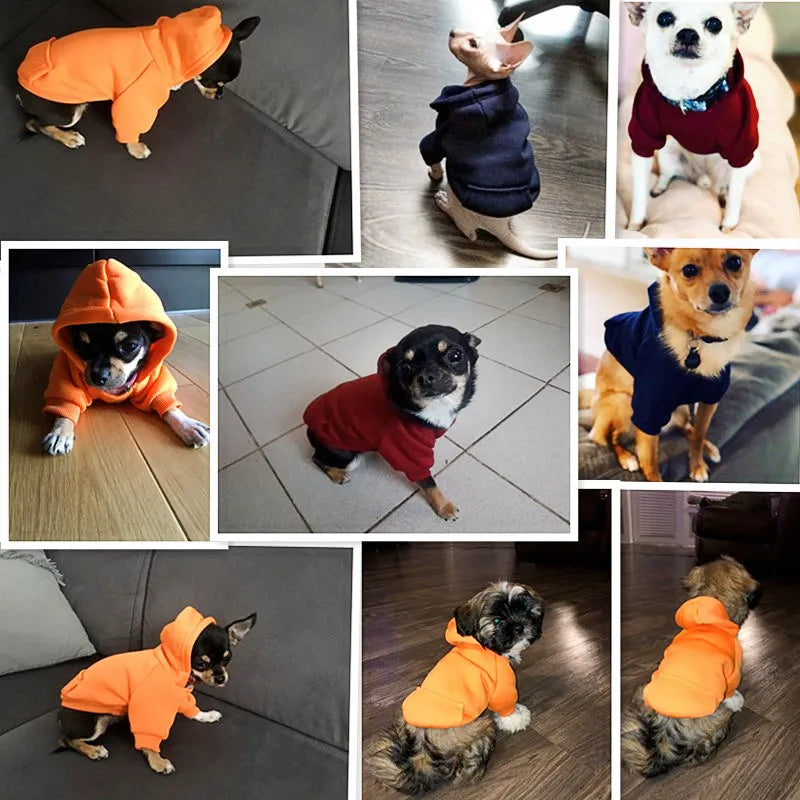 Winter Dog Hoodie with Pocket - Warm Cotton Sweatshirt for Small Dogs & Cats - Deribla Store