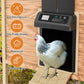 Chicken Coop Door Opener