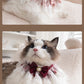 Pearl Lace Bowtie Collar