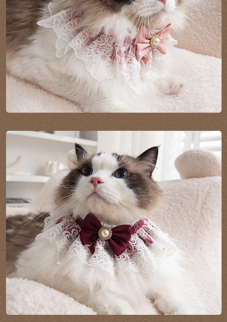 Pearl Lace Bowtie Collar