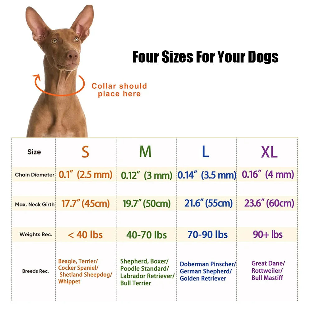 Prong Training Collar for Dogs - Stainless Steel with Rubber Tips for Safe Training - Deribla Store