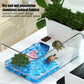 Turtle Tank - Amphibian Reptile Breeding Box with Basking Platform & Fence - Deribla Store