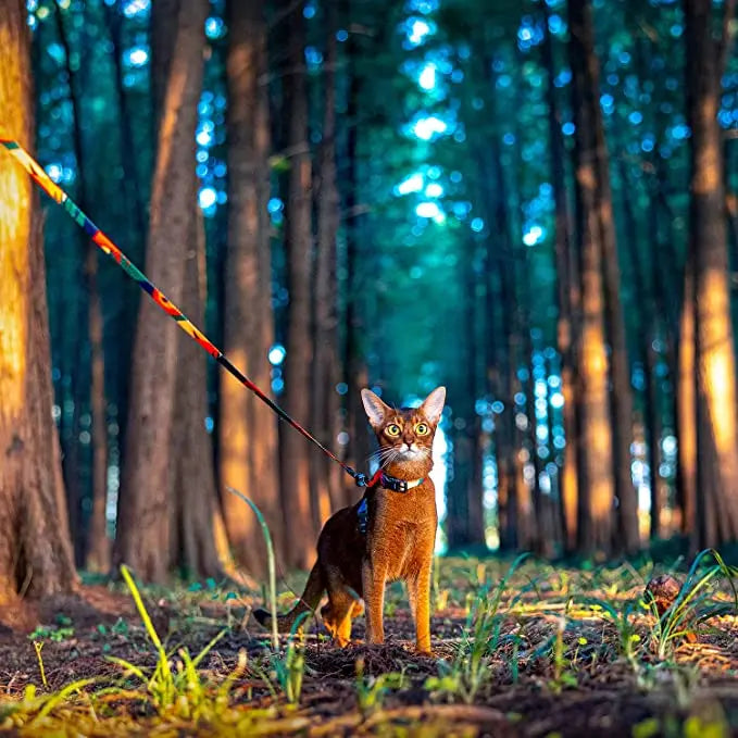 Premium Leather Cat Leash - 1.5M Walking & Training Lead for Cats & Small Dogs - Deribla Store