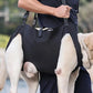 Dog Rehabilitation Sling