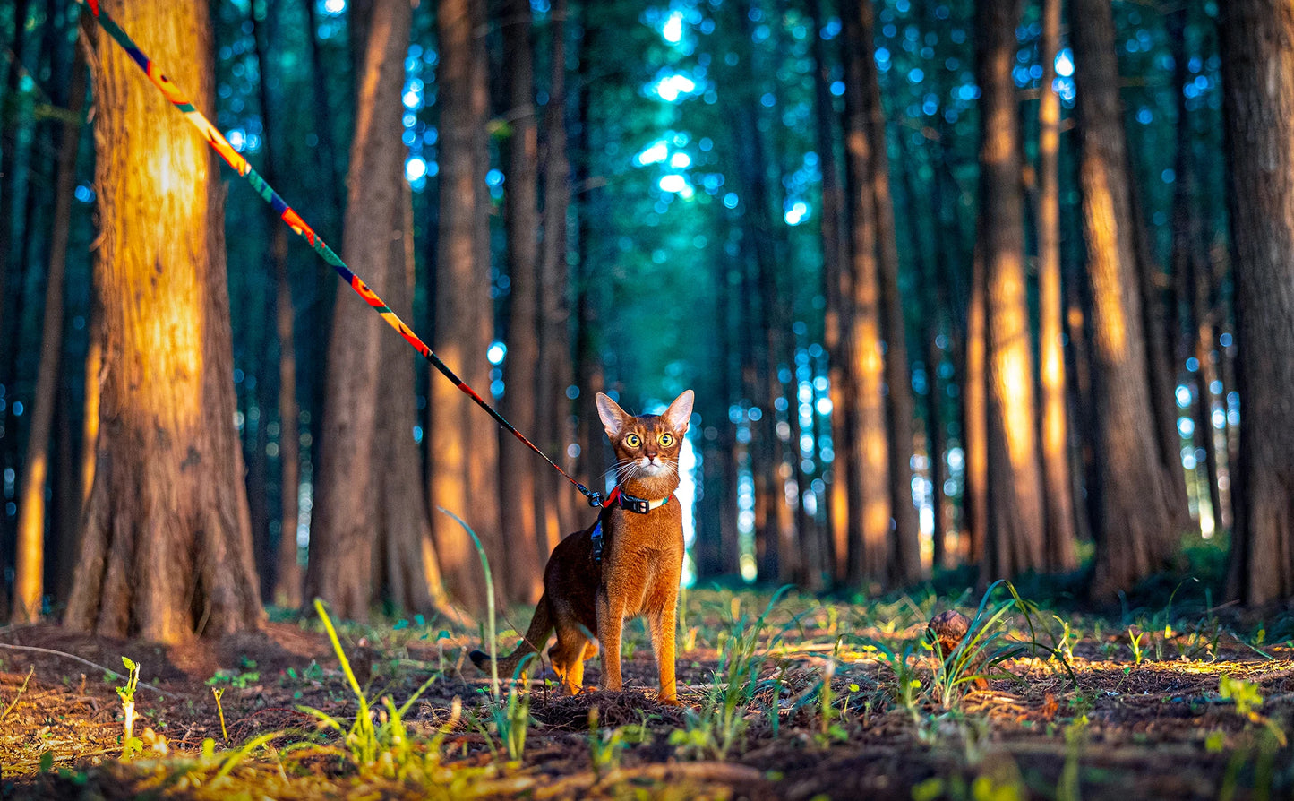 Premium Leather Cat Leash - 1.5M Walking & Training Lead for Cats & Small Dogs - Deribla Store