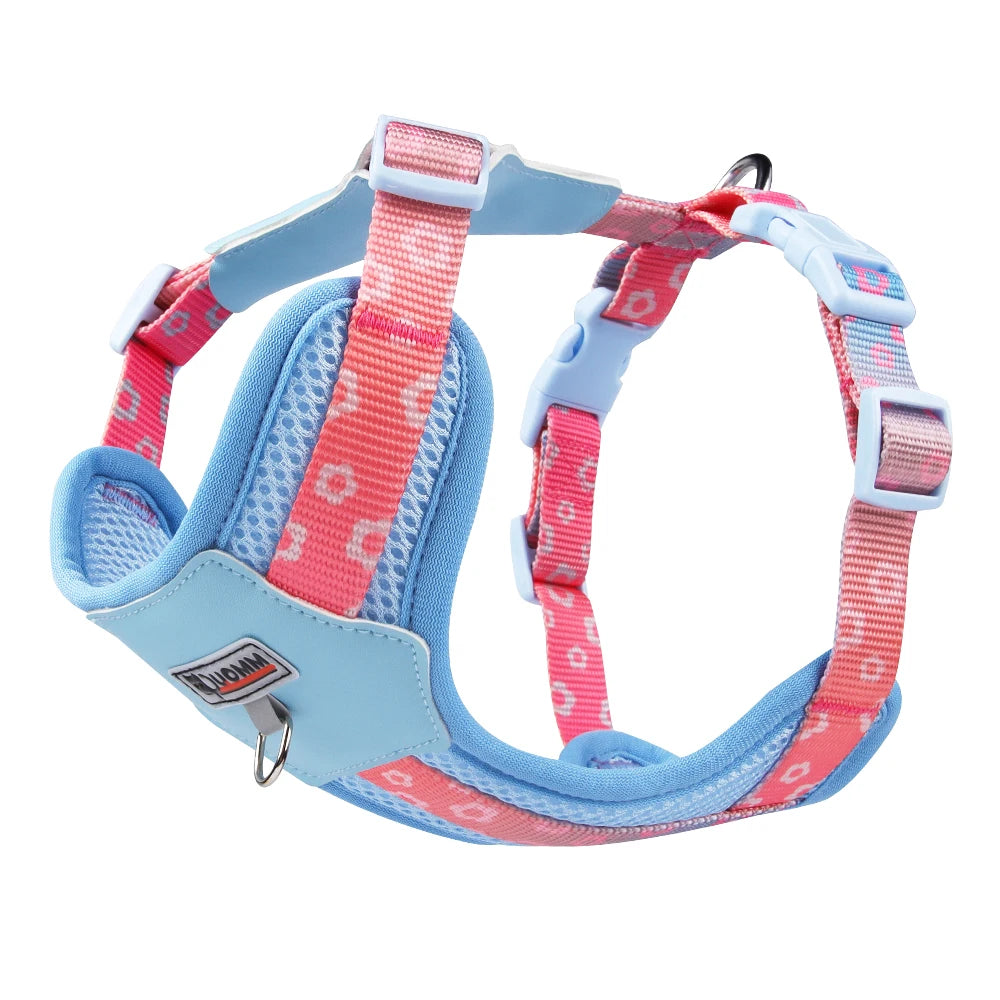 Dog Harness and Leash Set