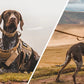 Tactical Military Dog Harness 
