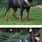 Anti-Pull Reflective Dog Harness - Multi-Point Adjustable No-Pull Vest - Deribla Store