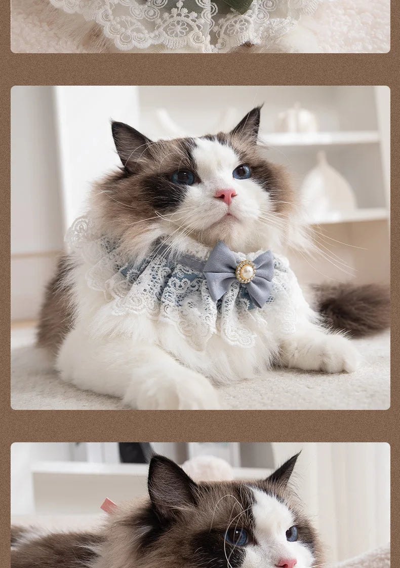 Pearl Lace Bowtie Collar