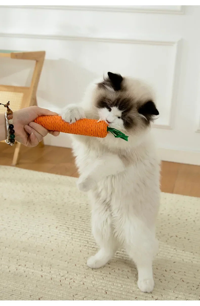 Carrot Cat Toy with Sound - Sisal Teething Stick, Bite-Resistant Dental Chew Toy - Deribla Store