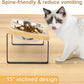 Elevated Cat Bowl Set - 15° Tilted Anti-Vomit Feeder with Non-Slip Mat - Deribla Store