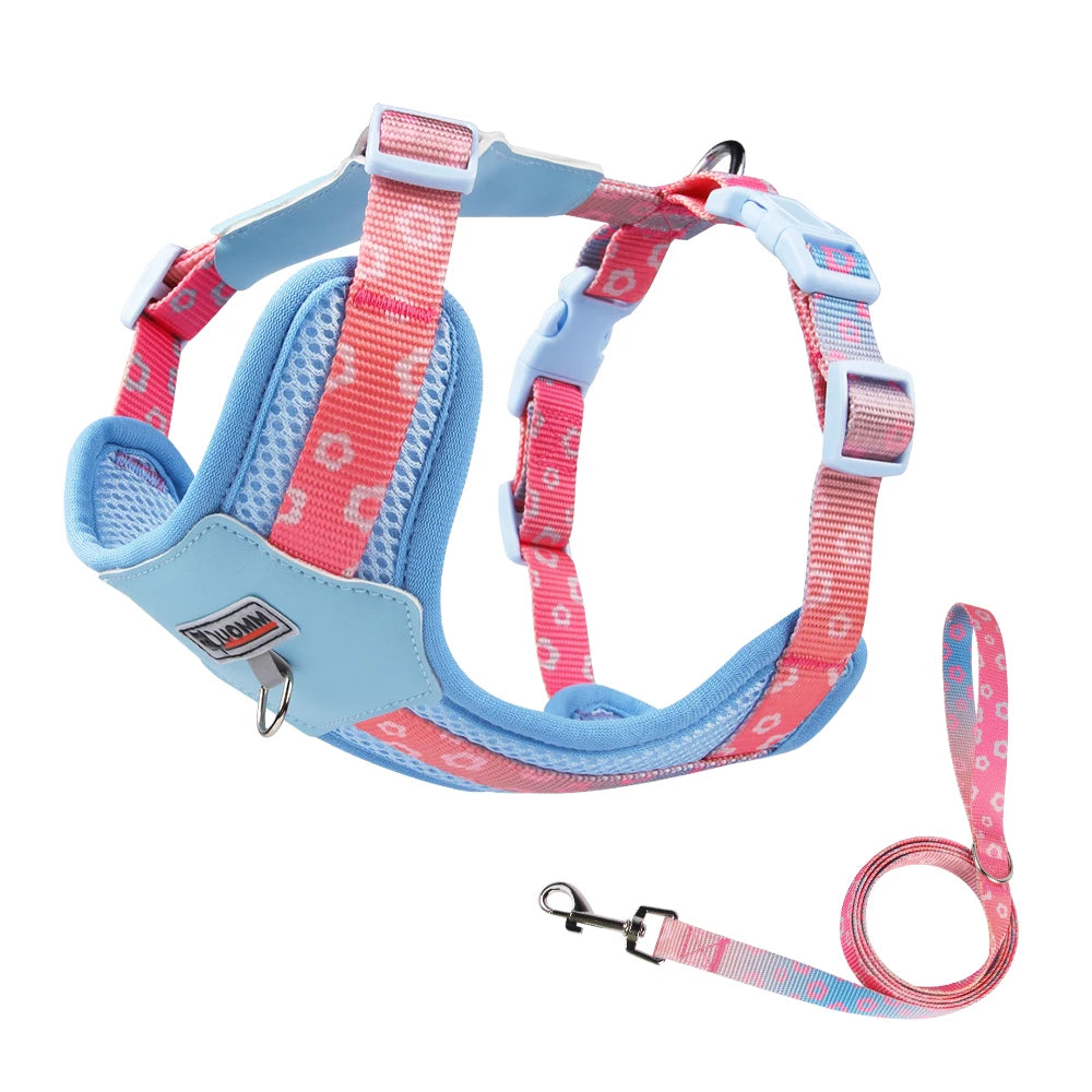 Dog Harness and Leash Set