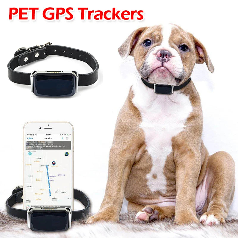 GPS Pet Tracker Collar
