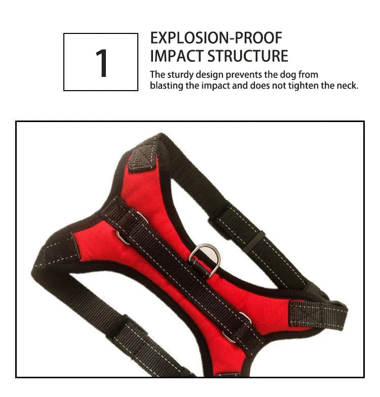 Quick Release Dog Harness