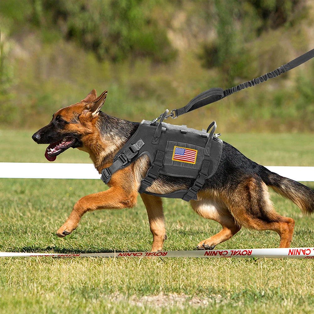 Tactical Dog Harness