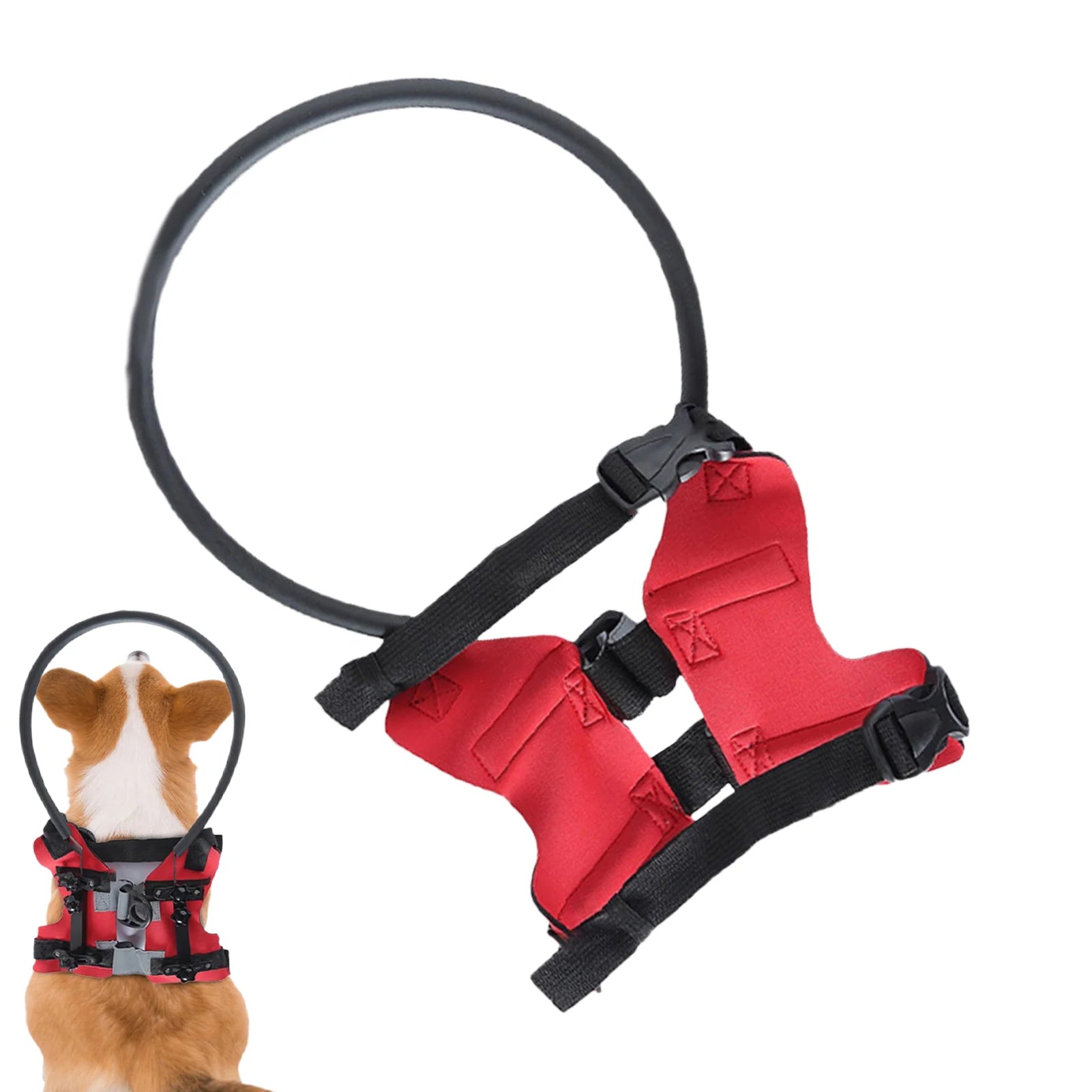 Blind Dog Harness Guiding Device Pet Halo Harness For Cats Pet Vest Ring For Blind Dogs Or Visually Impaired Pets To Avoid - Deribla Store