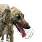 Dog Muzzle