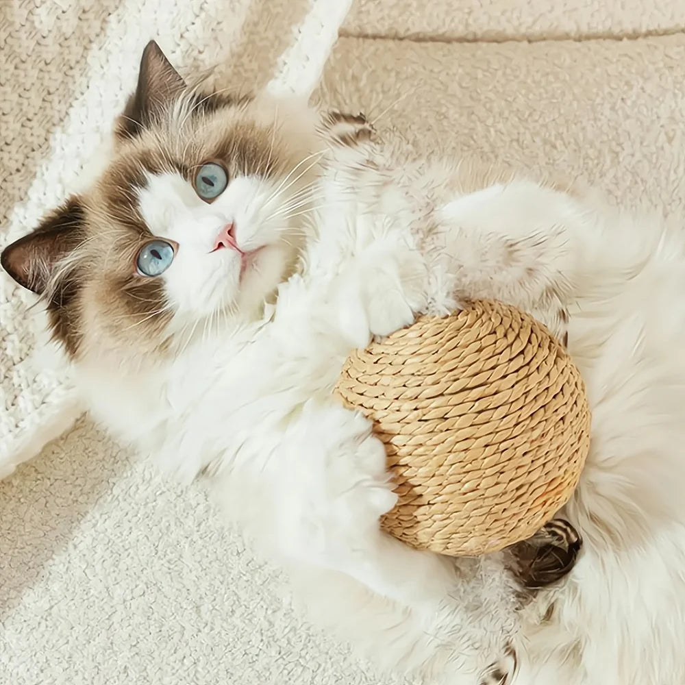 10cm Interactive Sisal Cat Scratching Ball Toy - Extra Large Rope Ball with Sound for Chewing & Playing - Deribla Store