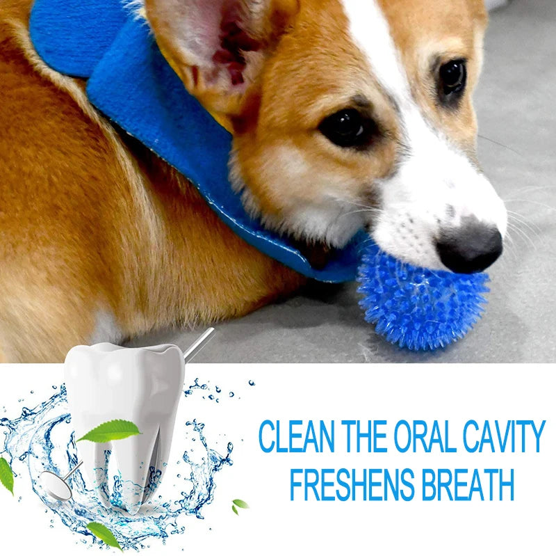 Pet Toy Ball - Sounding Tooth Cleaning Thorn Ball for Dogs & Cats - Deribla Store