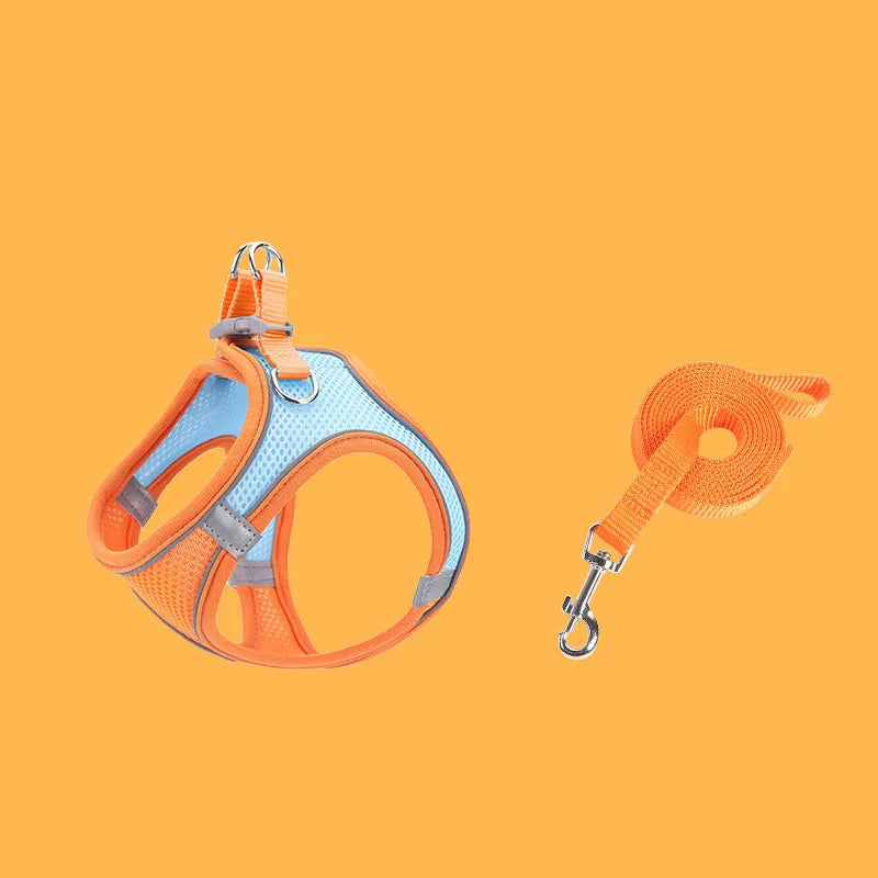 Escape-Proof Cat Harness - Adjustable Breathable Vest with Leash for Kittens - Deribla Store