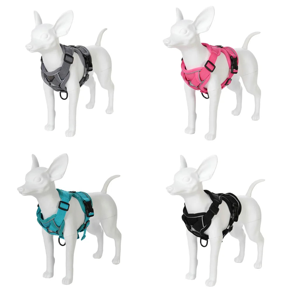 Dog Harness Leash Set 