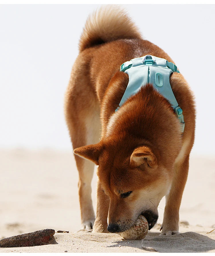 No-Pull Dog Harness - Reflective Nylon with Pocket & Adjustable Fit - Deribla Store