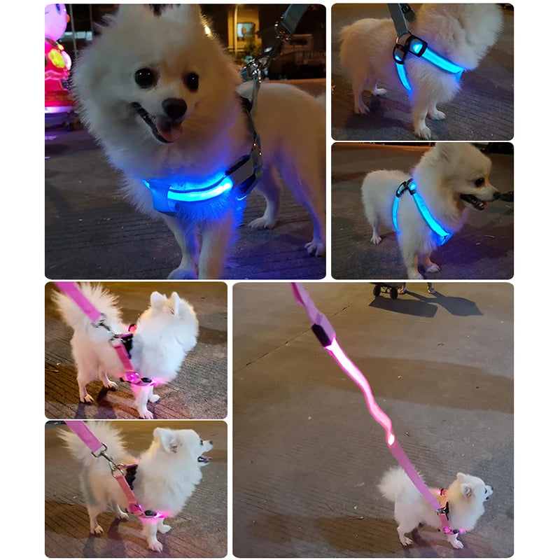 LED Dog Safety Harness
