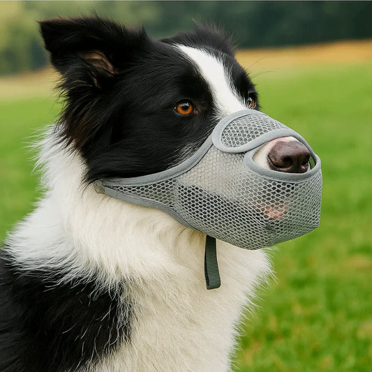 Breathable Mesh Dog Muzzle - Adjustable Anti-Bite Mouth Cover for Small to Large Dogs - Deribla Store