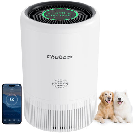 H13 HEPA Air Purifie