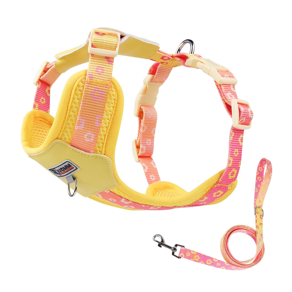 Dog Harness and Leash Set