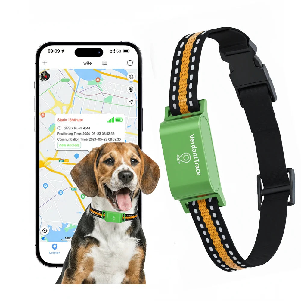 GPS Pet Tracker 4G