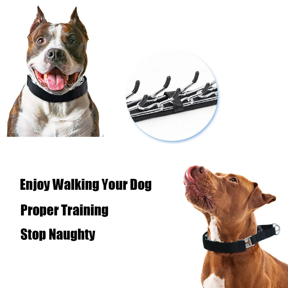 Prong Training Collar for Dogs - Stainless Steel with Rubber Tips for Safe Training - Deribla Store