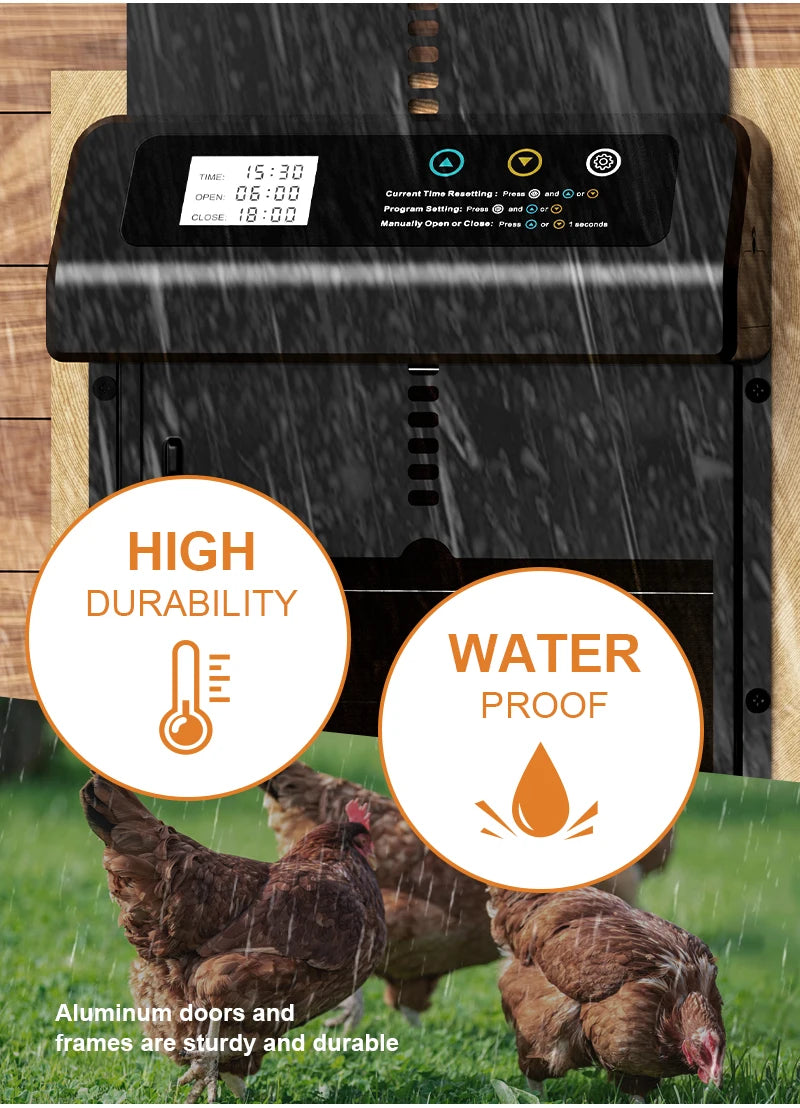 Chicken Coop Door Opener