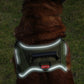Tactical Dog Harness