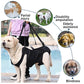 Dog Rehabilitation Sling
