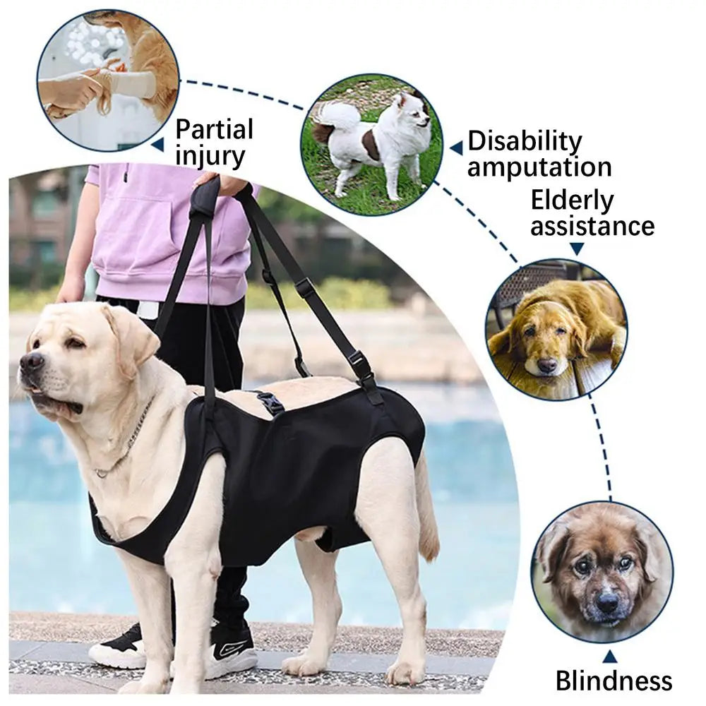 Dog Rehabilitation Sling