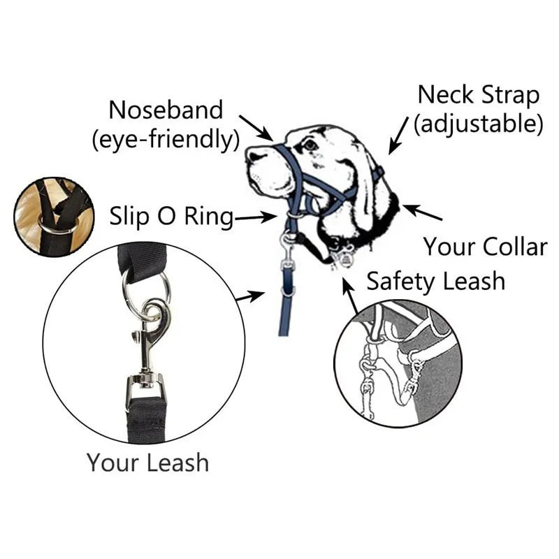 Adjustable Dog Muzzle - Reflective Padded Anti-Bite Training Muzzle for Dogs - Deribla Store