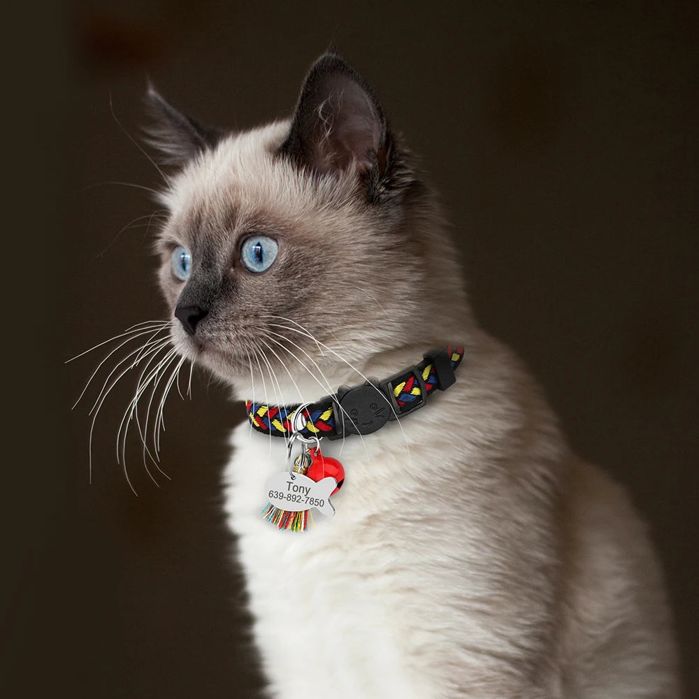 Personalized Cat Collar Breakaway