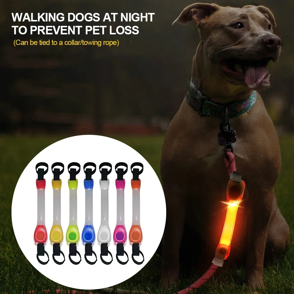 LED Dog Collar - Waterproof Glowing Safety Collar with USB Rechargeable Light - Deribla Store