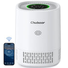 H13 HEPA Air Purifie