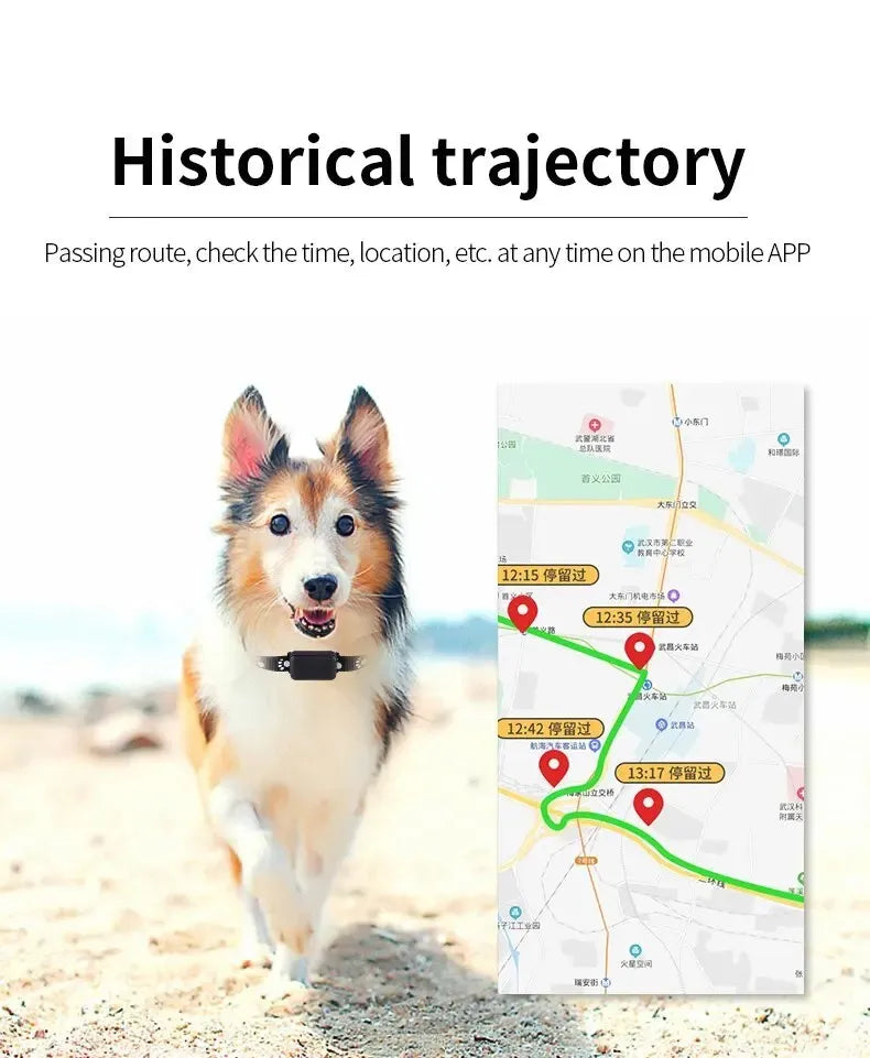 Waterproof GPS Pet Tracker Collar