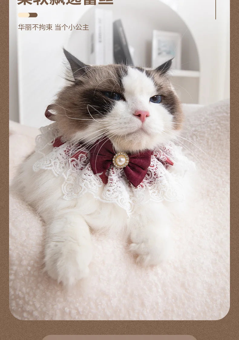 Pearl Lace Bowtie Collar