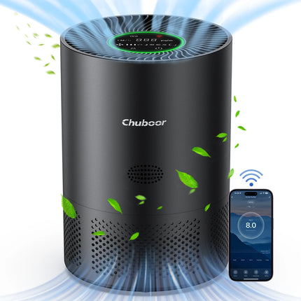 H13 HEPA Air Purifie