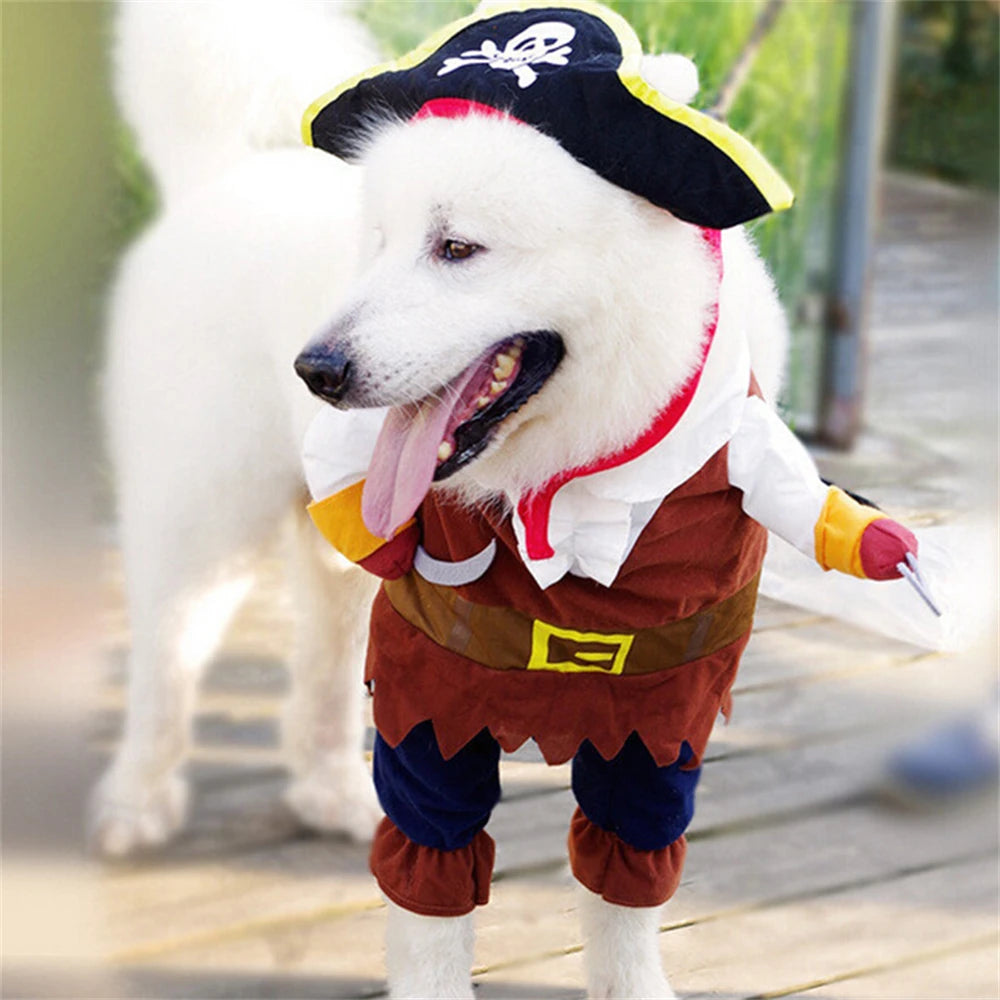 Pet Costume 